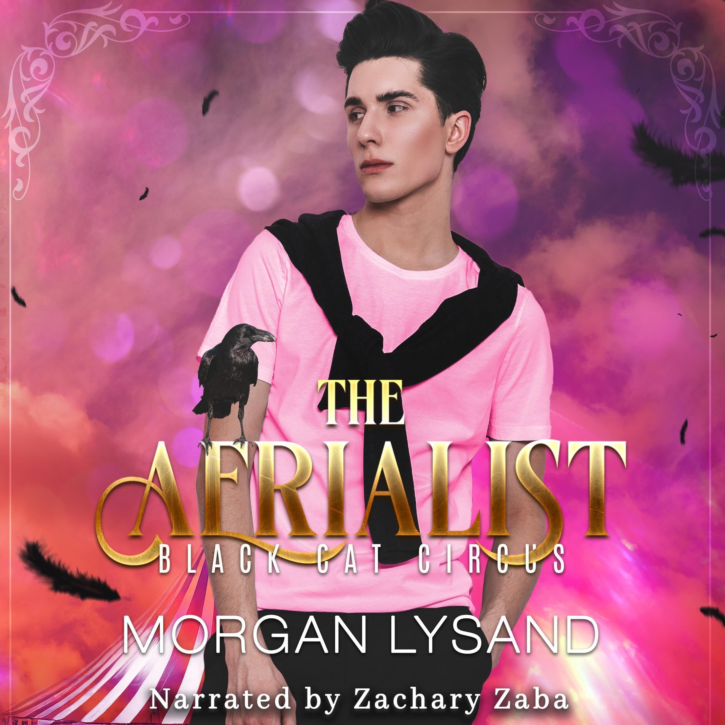 Cover art for The Aerialist