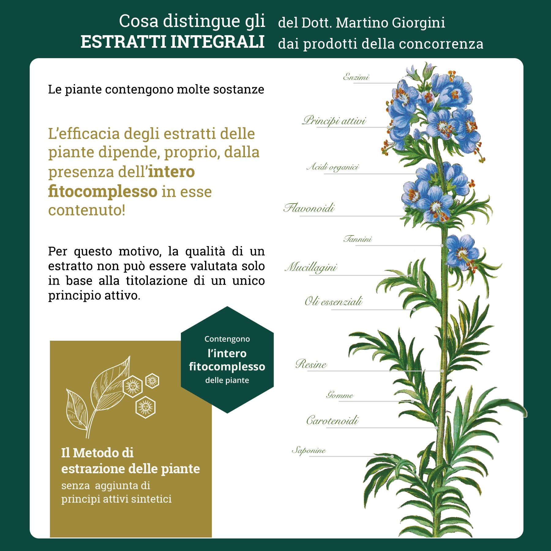 Dr Giorgini CURCUMA ESTRATTO INTEGRALE SECCO pastiglie - 90 g