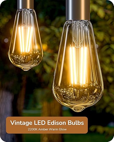 Miniatura 8 de EDISHINE Paquete de 12 bombillas LED Edison vintage equivalentes a 8 W equivalentes a 60 W, ST64 bombillas LED regulables, 700 lúmenes, 2200 K, luz