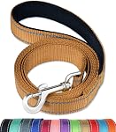 FunTags 6FT Black Reflective Dog Leash for Large & Medium Dogs Walking, Soft Padded Handle Comfortable Grip, Heavy Duty Nylon, Reflective for Night Walking, 1in Wide