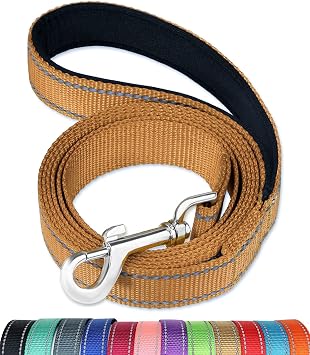 FunTags 6FT Khaki Reflective Dog Leash for Large & Medium Dogs Walking, Soft Padded Handle Comfortable Grip, Heavy Duty Nylon, Reflective for Night Walking, 1in Wide