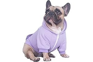 French Bulldog Spark Paws Hoodie