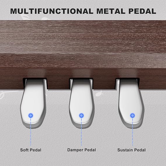 UMOMO 88-Key Graded Heavy Hammer Action Digital Piano – Full Size Weighted Keyboard with USB-MIDI, Duet Piano Bench Included, Walnut – Beginner Electric Piano
