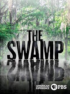 The Swamp