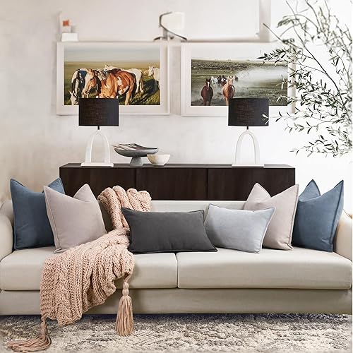 Miniatura 9 de ZWJD Juego de 2 fundas de almohada de felpilla de 20 x 20 pulgadas con diseño elegante, suaves y lujosas, decorativas, para sofá, cama y decoración