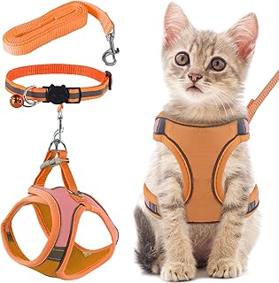 FIHODONE Katzengeschirr mit Katzenleine Katzenhalsband,Katzengeschirr mit Leine Ausbruchsicher,Cat Harness Verstellbar,Katzenleine mit Geschirr für Katzen Orange mit Reflexstreifen (S, Orange) product image