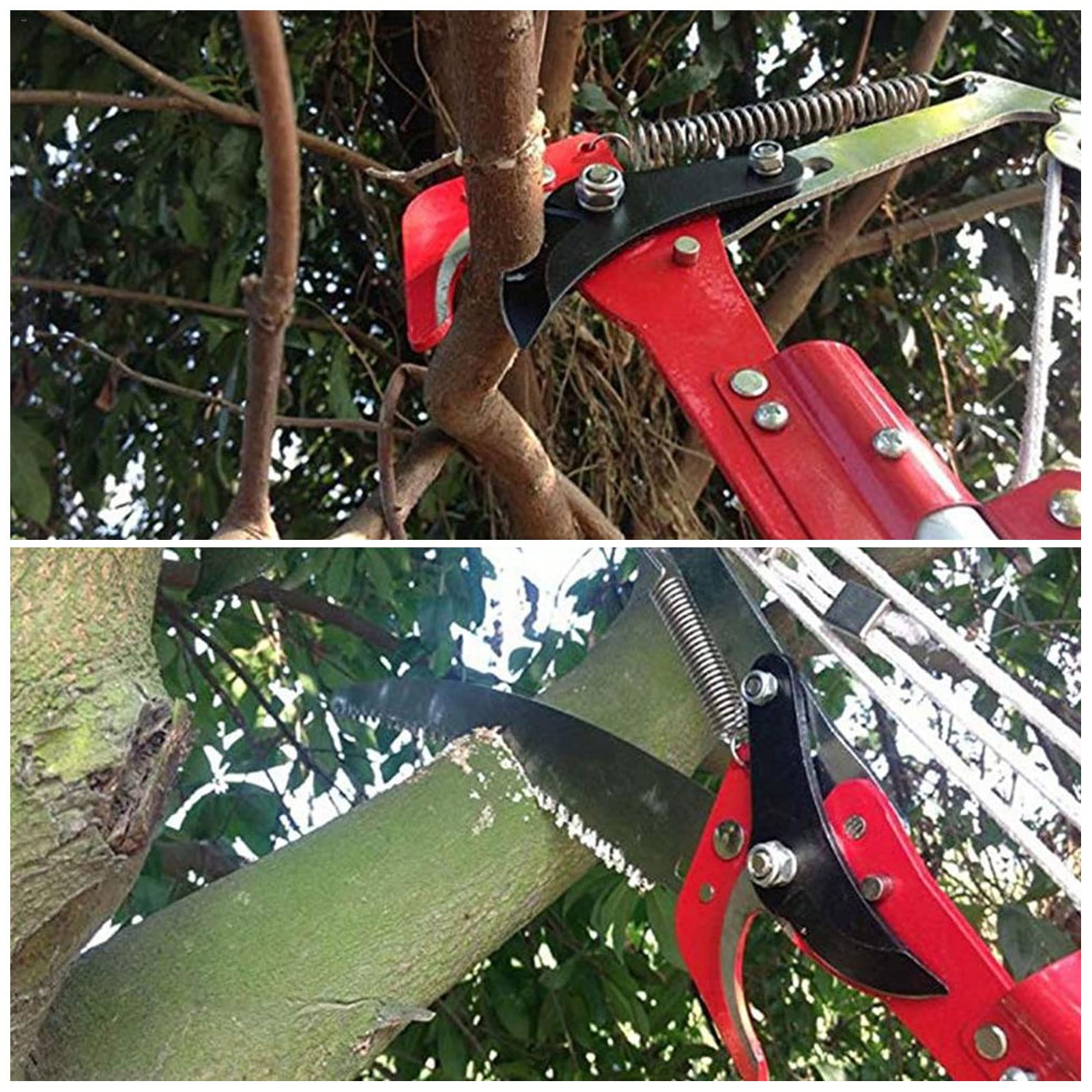 Forbice per Innesti e Potatura, Giardino Innesto Kit di Attrezzi per Efficiente Potatura e Innesto, con Lame di Ricambio, Forbici da Innesto per Albero da Frutto/Vigneto/Pianta/Ramo, Grafting Tool