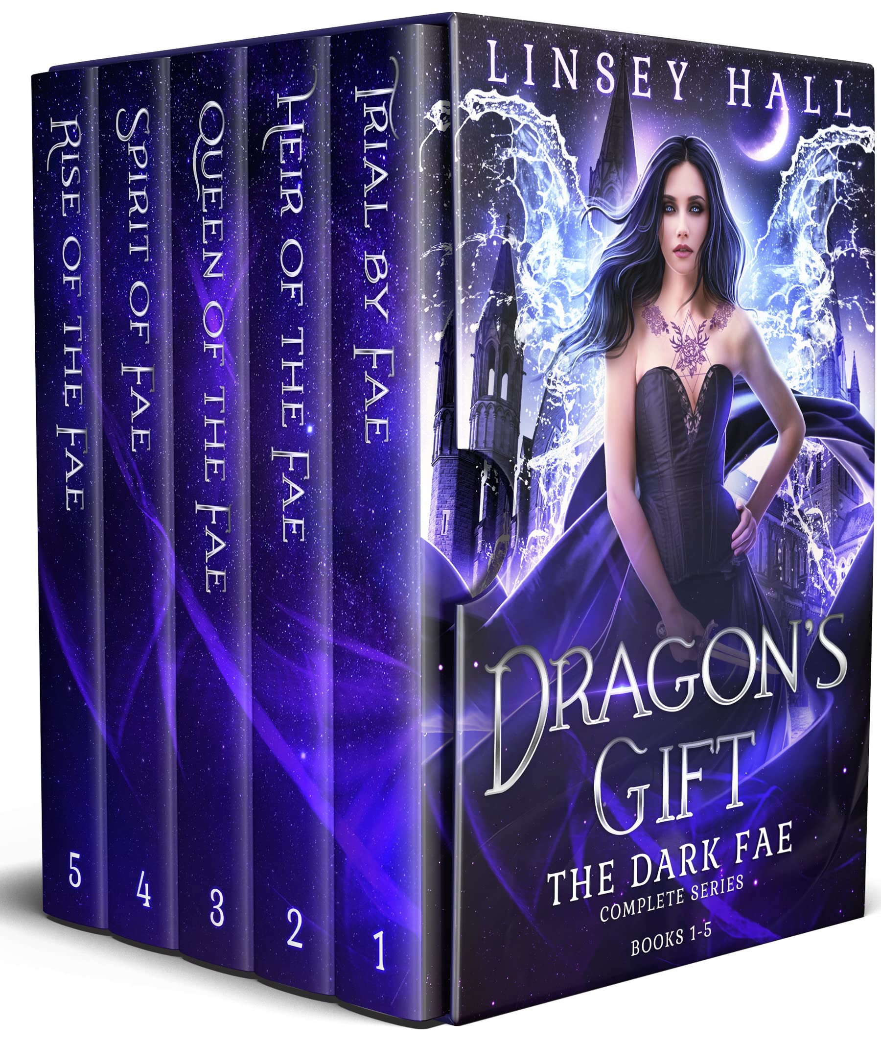 Book cover for Dragon's Gift: The Dark Fae series