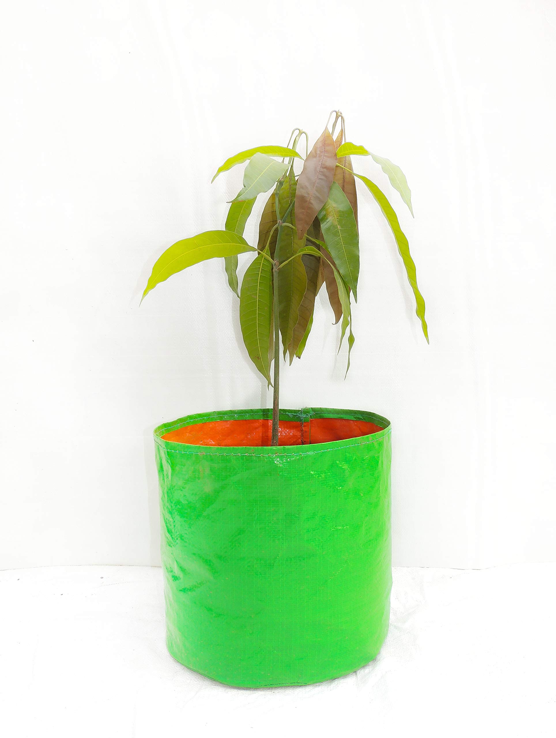 HDPE Grow Bags - 10 Pack for Terrace Gardening -2
