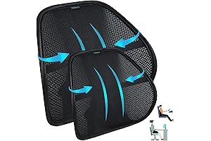 Easy Posture Twin Mesh Back Support Lumbar Pillow