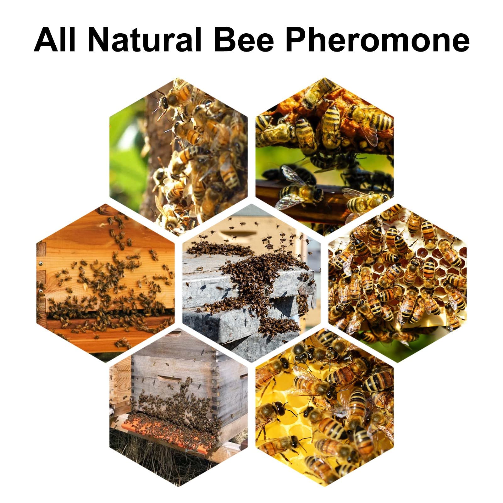 60ML Bee Bait Bee Swarm Commander Lure Bait Bee Cage Trap Kit Beekeeper Tools Beekeeping Wild Bee Hive Swarm Liquid