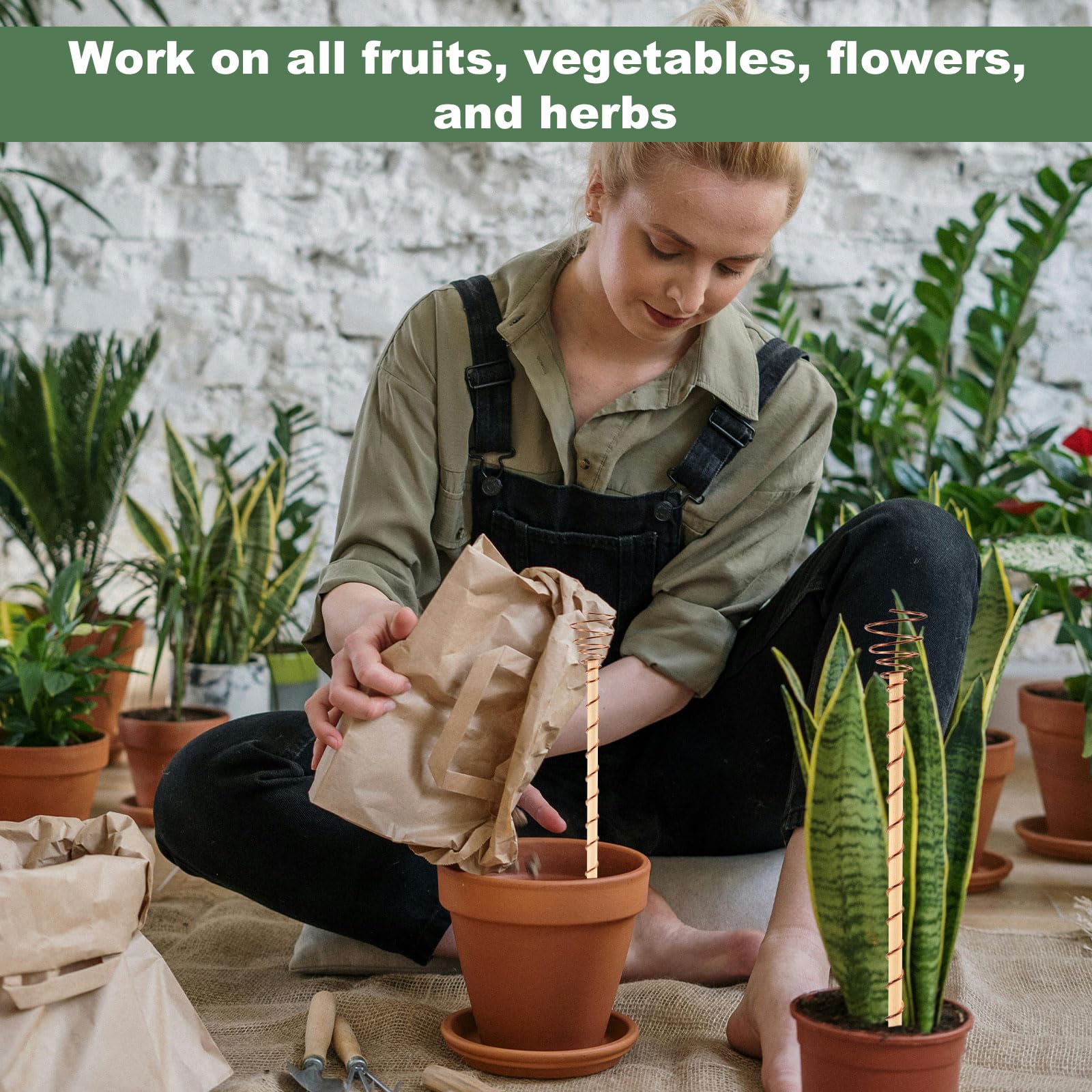 10 Piezas Estacas para Plantas de Electrocultivo, 29cm de Largo Antena de Cobre para Jardinería Antena de Electro Cultivo para Cultivo Interior Exterior Plantas Frutas y Verduras Soporte