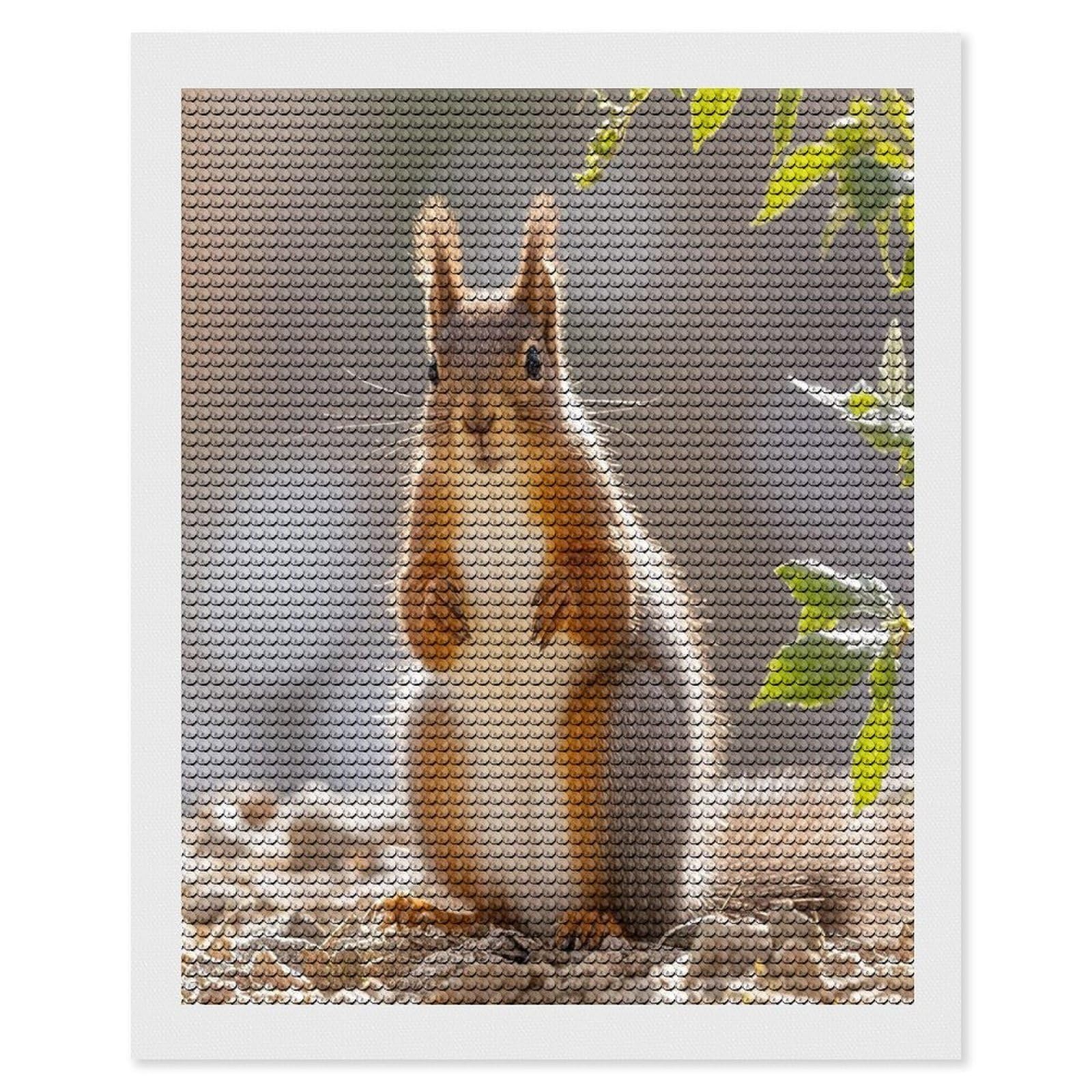 FekiLoot Squirrel Funny Animal Diamond Painting Kits for Adults Round Paint with Diamonds Pictures Gem Art Painting Kits Personalized Diamond Art Full Drill for Beginners Home Wall Decor