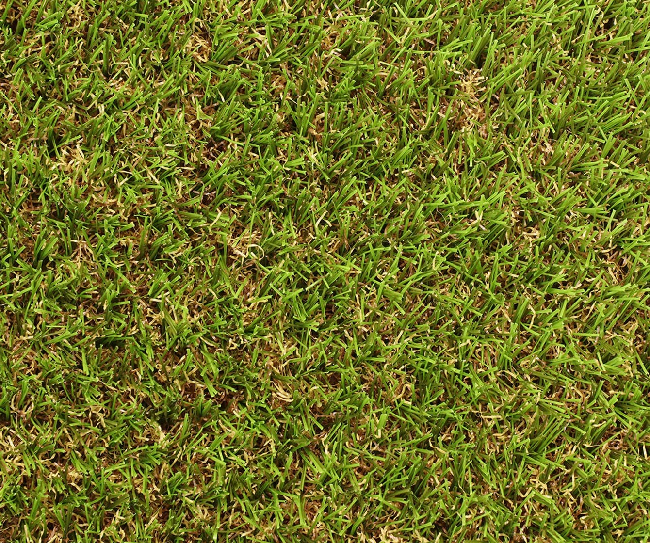 Exelgreen - Gazon synthétique - Natura 25mm - 1m x 5m