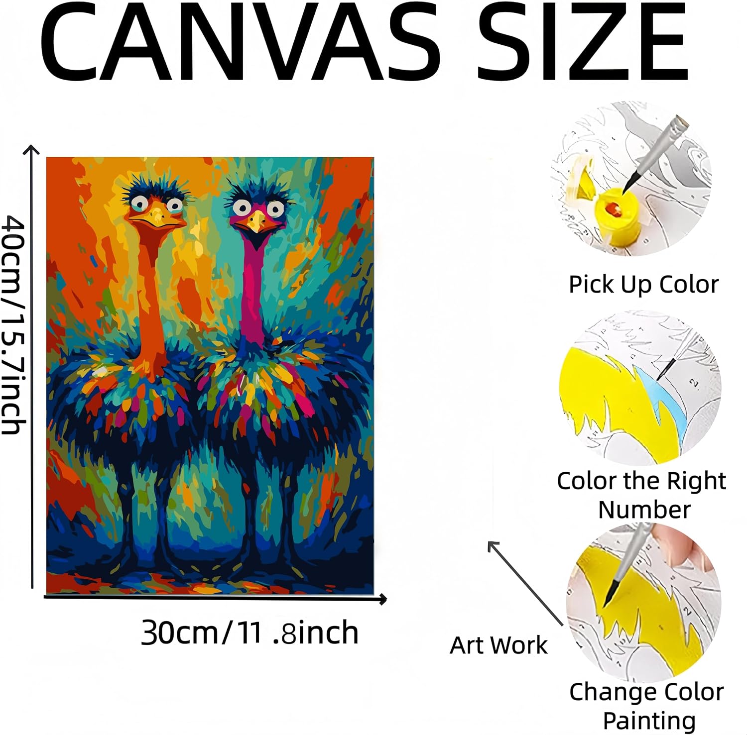 DOTSTART Paint by Numbers for Adults,Two Colorful Ostrich Adult Paint by Number Kits on Canvas,DIY Paint by Numbers Easy,Number Painting Acrylic Oil Painting,for Home Wall Decor 11.8X15.7 inches