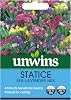 Unwins Statice Sea Lavender Mix Seeds