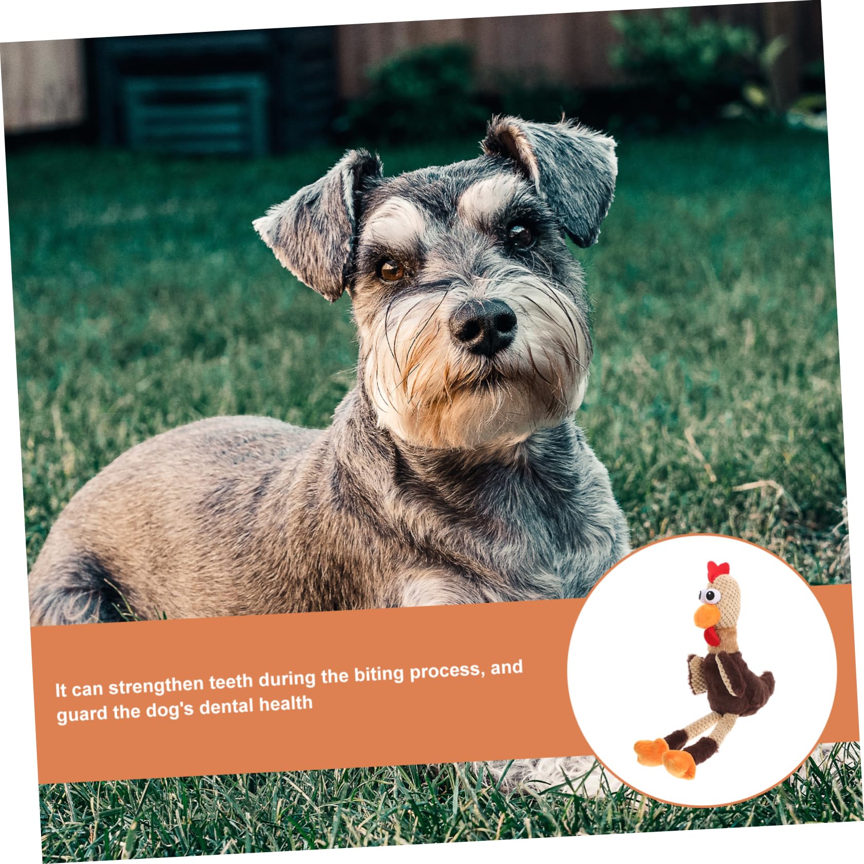 POPETPOP 2piezas Juguete para Mascotas Forma De Pollo Juguete De Masticación Interactivo para Perros Divertido y Resistente para Cachorros para Jugar y Limpiar