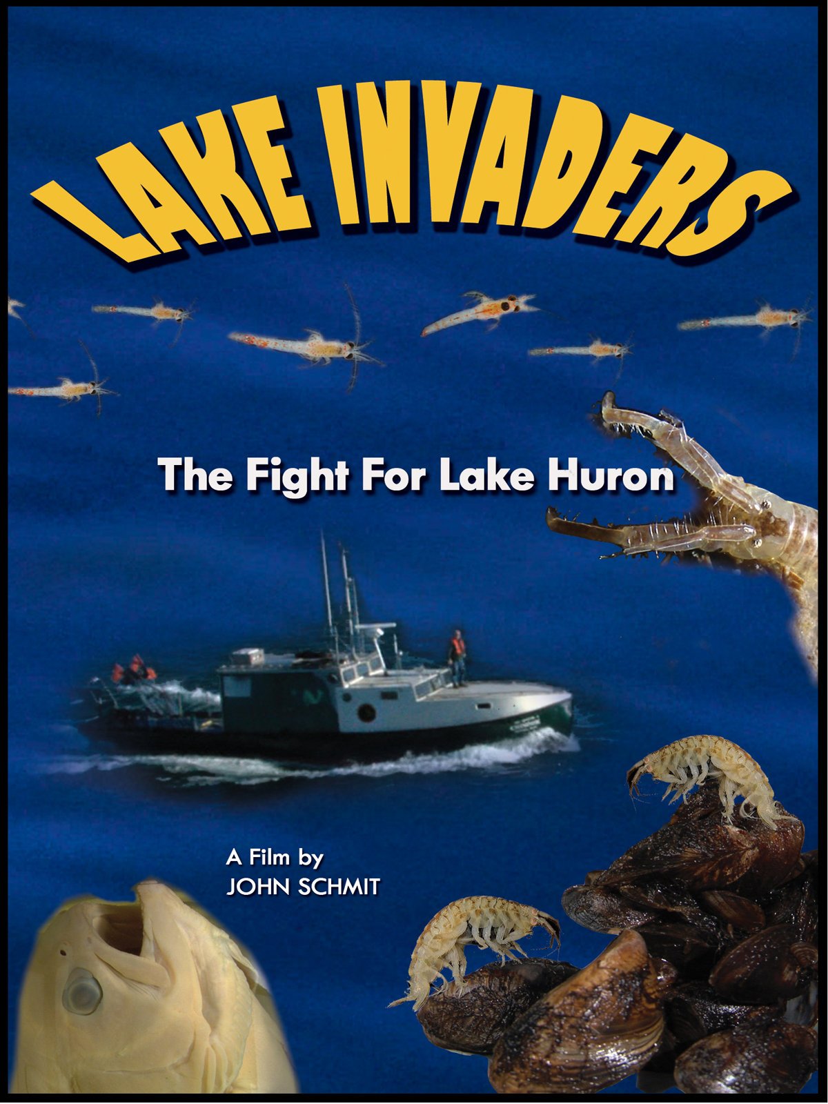 Lake Invaders The Fight For Lake Huron John Schmit