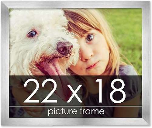 Miniatura 73 de Marco de 28 x 36 pulgadas de madera de peltre plateado con plexiglás acrílico UV, parte trasera de tablero de espuma y accesorios incluidos