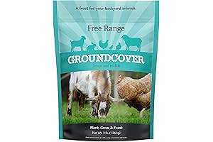 Barenbrug Free Range GroundCover: Ideal Poultry and Livestock Forage Seed System