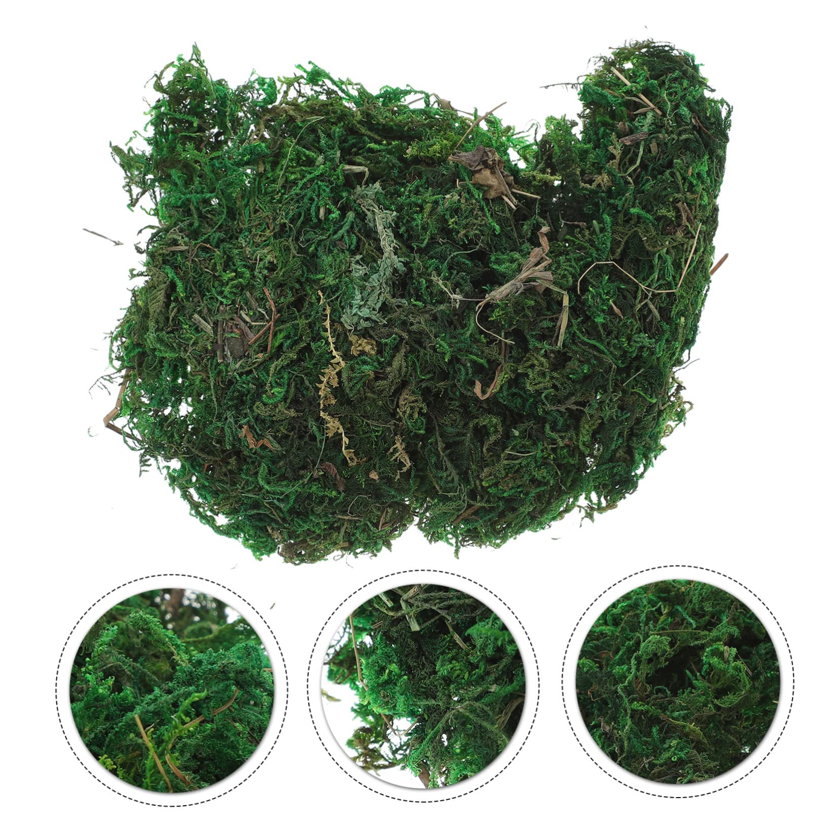 Zerodeko 10pezzi Finto Muschio Verde Artificiale per Decorazione da Giardino e Terrari Confezione da Piante Plastiche Realistiche per Paesaggi e Bonsai