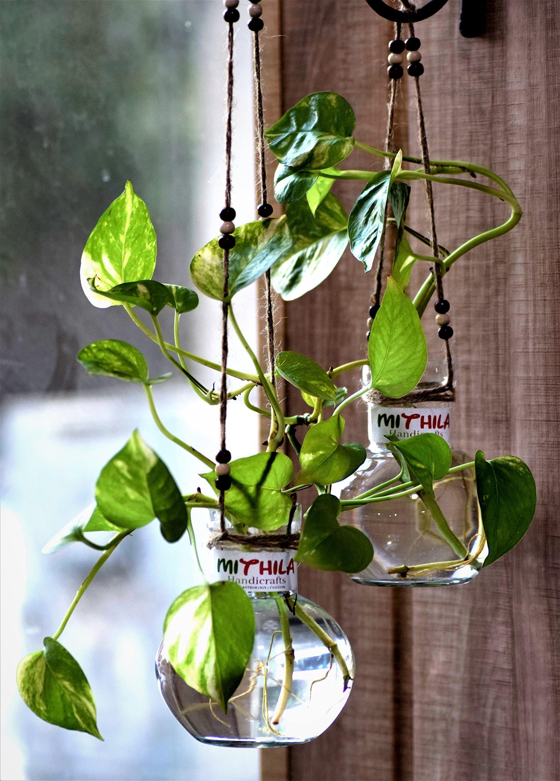 Decorative Round Glass Vases (Set of 2) with Jute Rope Hanging (Clear, 12x10 cm) | Elegant Water Plant Flower Pot for Money & Bamboo Plants | Diwali Home, Office, Living Room Decor