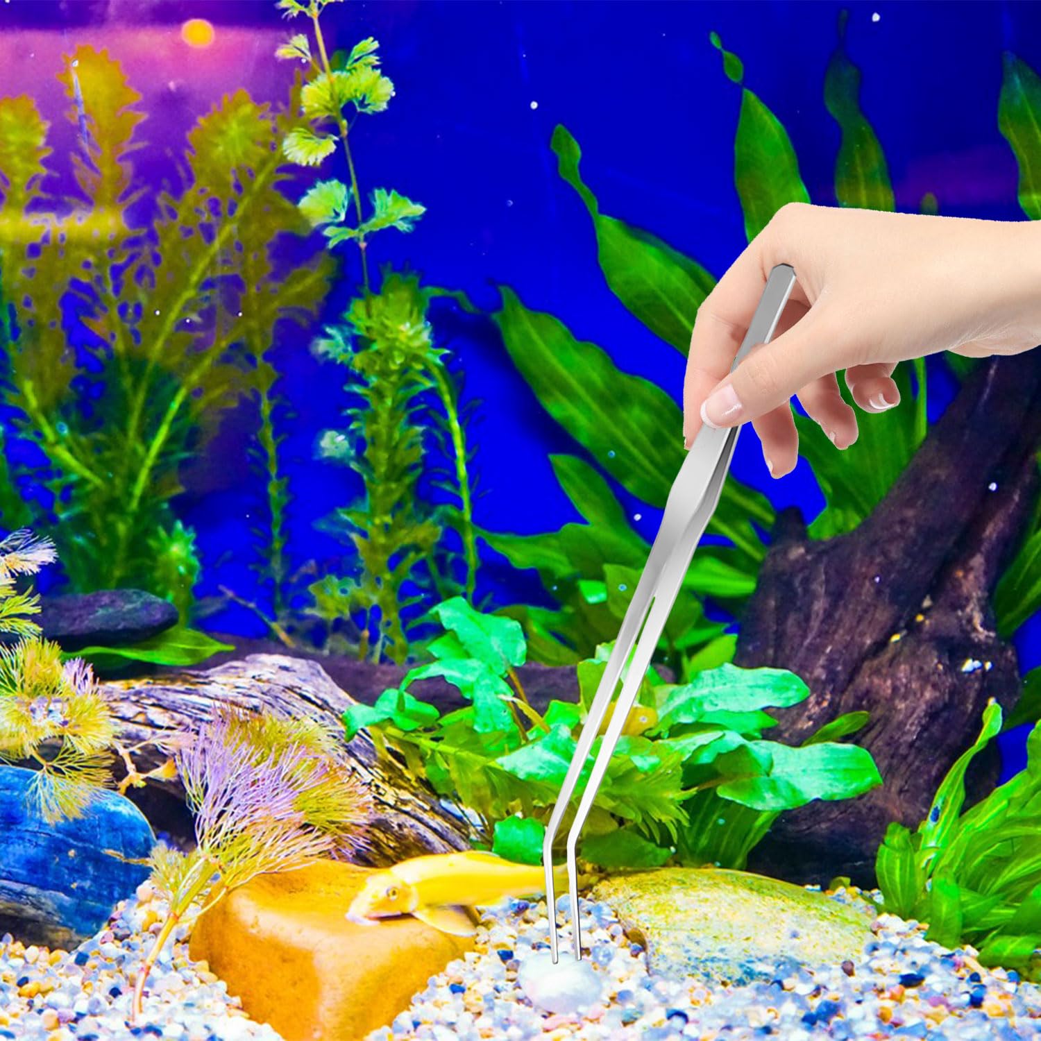 RYAN Accesorios Acuario 4 en 1 de Acero Inoxidable para Acuario Aquarium Aquascaping Kit Pinzas Tijera espátula Juego de Herramientas para Peces y Plantas Acuáticas