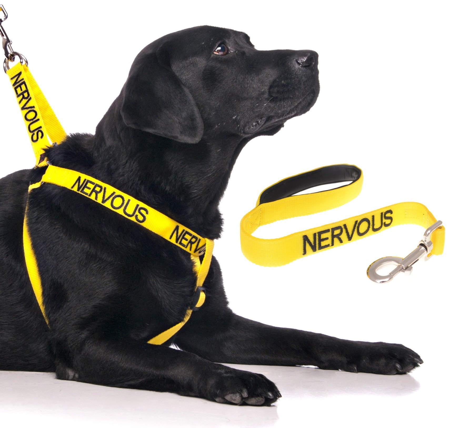 NERVOUS (Give Me Space) Yellow Colour Coded Non-Pull Dog Harness and 60cm 1.2m 1.8m Luxury Neoprene Padded Handle Lead Sets PREVENTS Accidents By Warning Others Of Your Dog In Advance (Harness & 60cm)