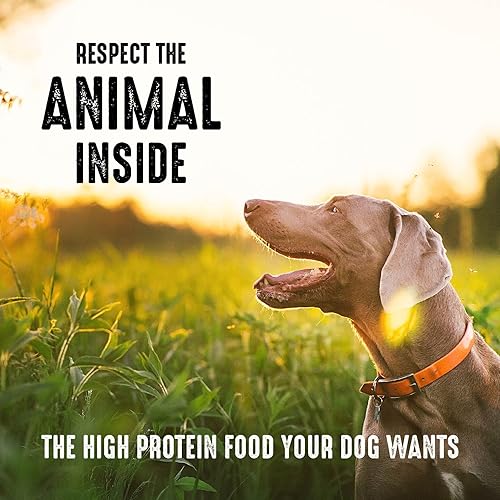 Miniatura 7 de Crave Comida con proteína para perros, libre de granos, adulto