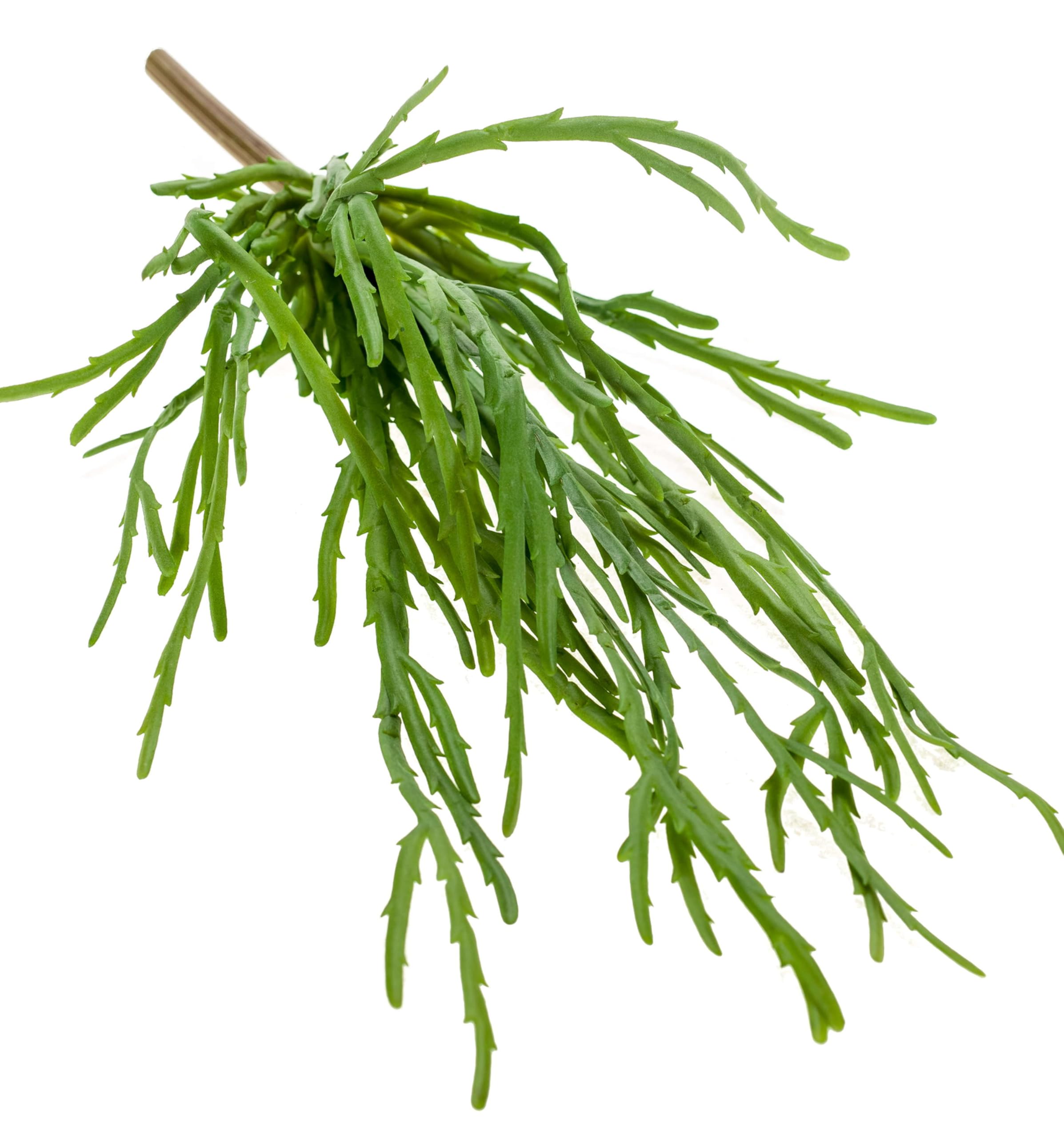 Artplants Green .De Artificial Rhipsalis Hadrian On Spike, 14"/35Cm - Artificial Trailing Plant/Decorative Cactus