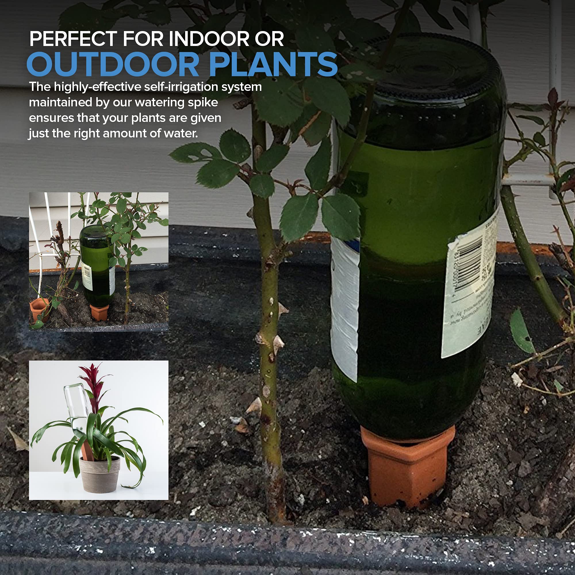 Modern Innovations Lot de 6 Pics d'arrosage Automatique en céramique en Terre Cuite pour Plantes en Pot, système d'eau Automatique