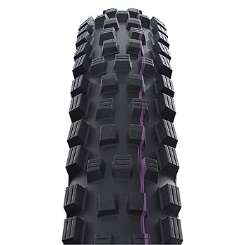 専用　SCHWALBE　マジックマリー SUPER GRAVITYタイヤ 2本 専用 SCHWALBE マジックマリー SUPER GRAVITYタイヤ 2本 Magic