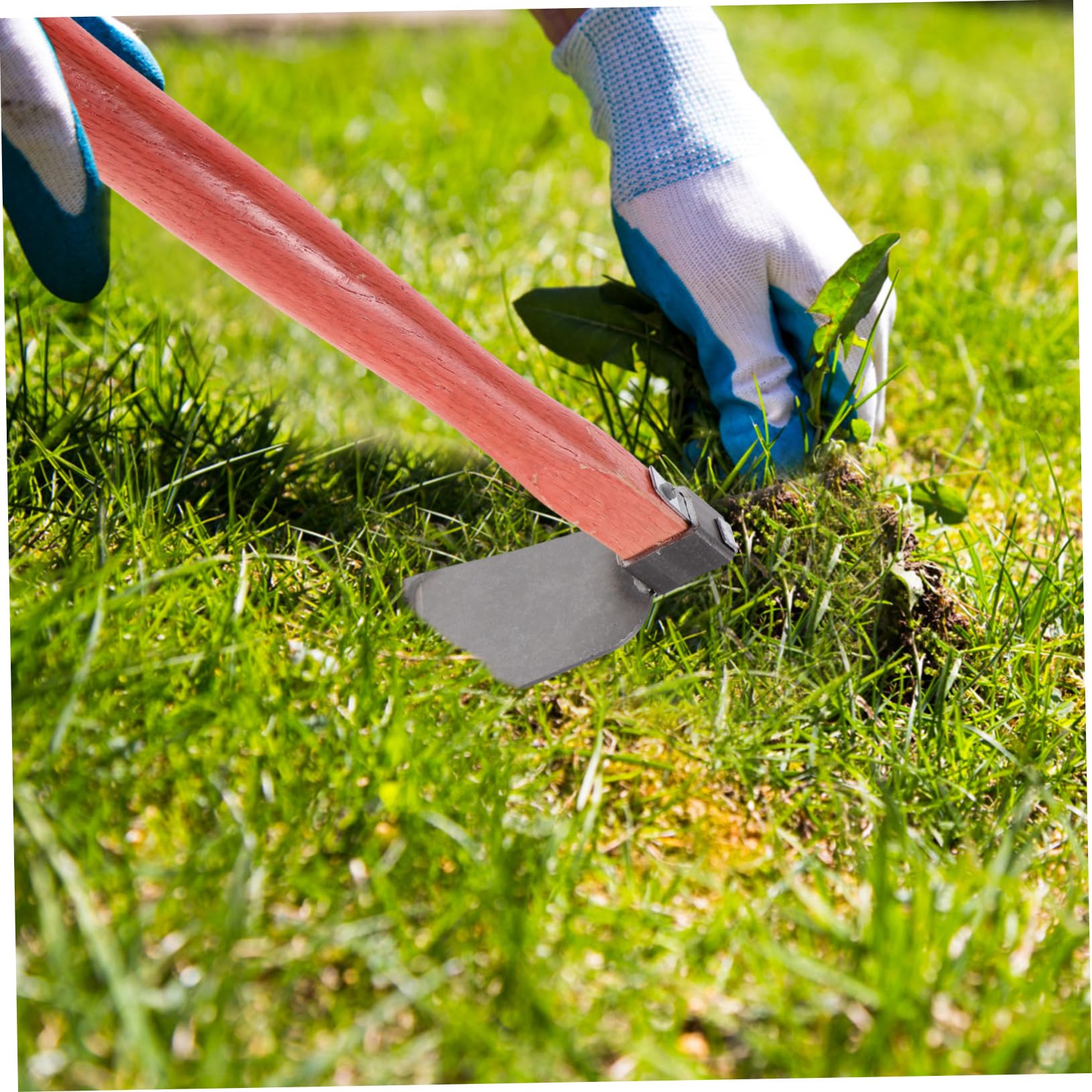 Giardino Leggera con Testa in Ferro e Manico in Legno Ergonomico Attrezzo Manuale per Diserbo e Scavare Terreno Zappetta Portatile per Orto e Piantagione Strumento per Cura Pian