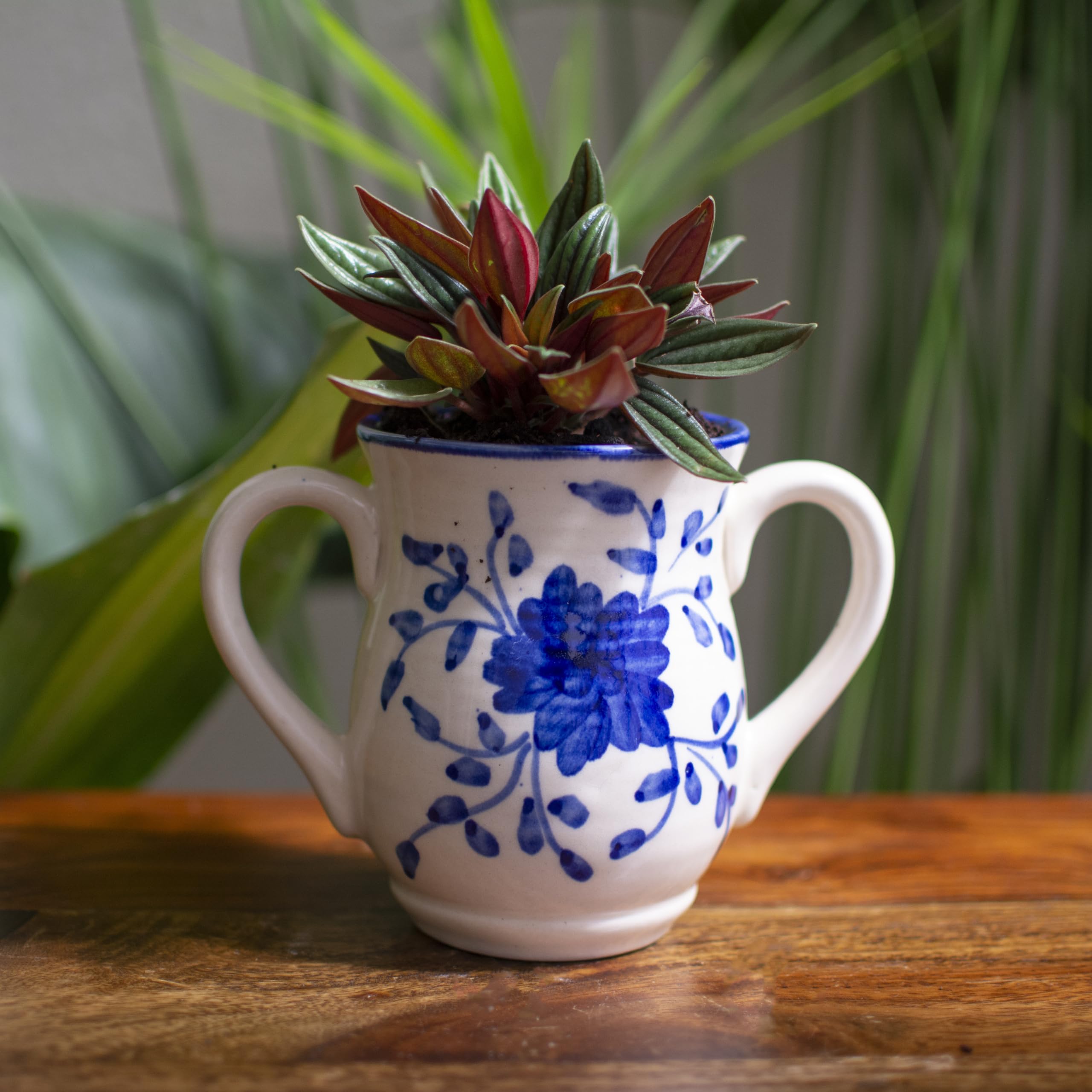 Thorny Affair Handcrafted Ceramic Planter Pot | Handpainted by Artisans | Indoor Plants, Succulents | Home Décor, Office Décor, Garden Décor| with Drainage Hole | White | 18 x 9 x 11 cms (B0CNW6F7GB) Amazon Price History, Amazon Price Tracker
