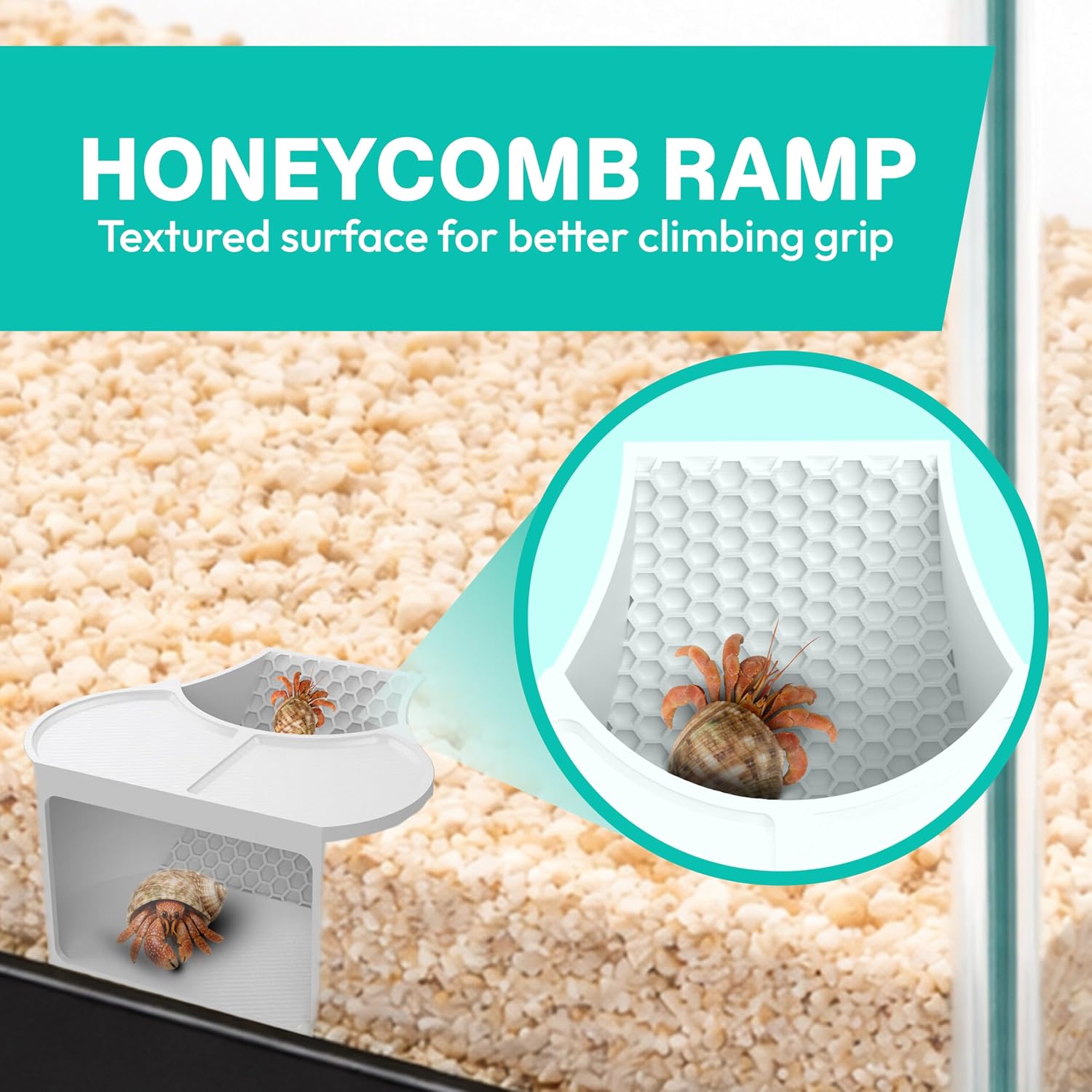 Hermit Crab Habitat Shelter with 2 Deep Dishes & Honeycomb Ramp - 2-in-1 Corner Hideout and Pool Station for Hermit Crabs, Isopods, and Reptiles - Made in USA (White)