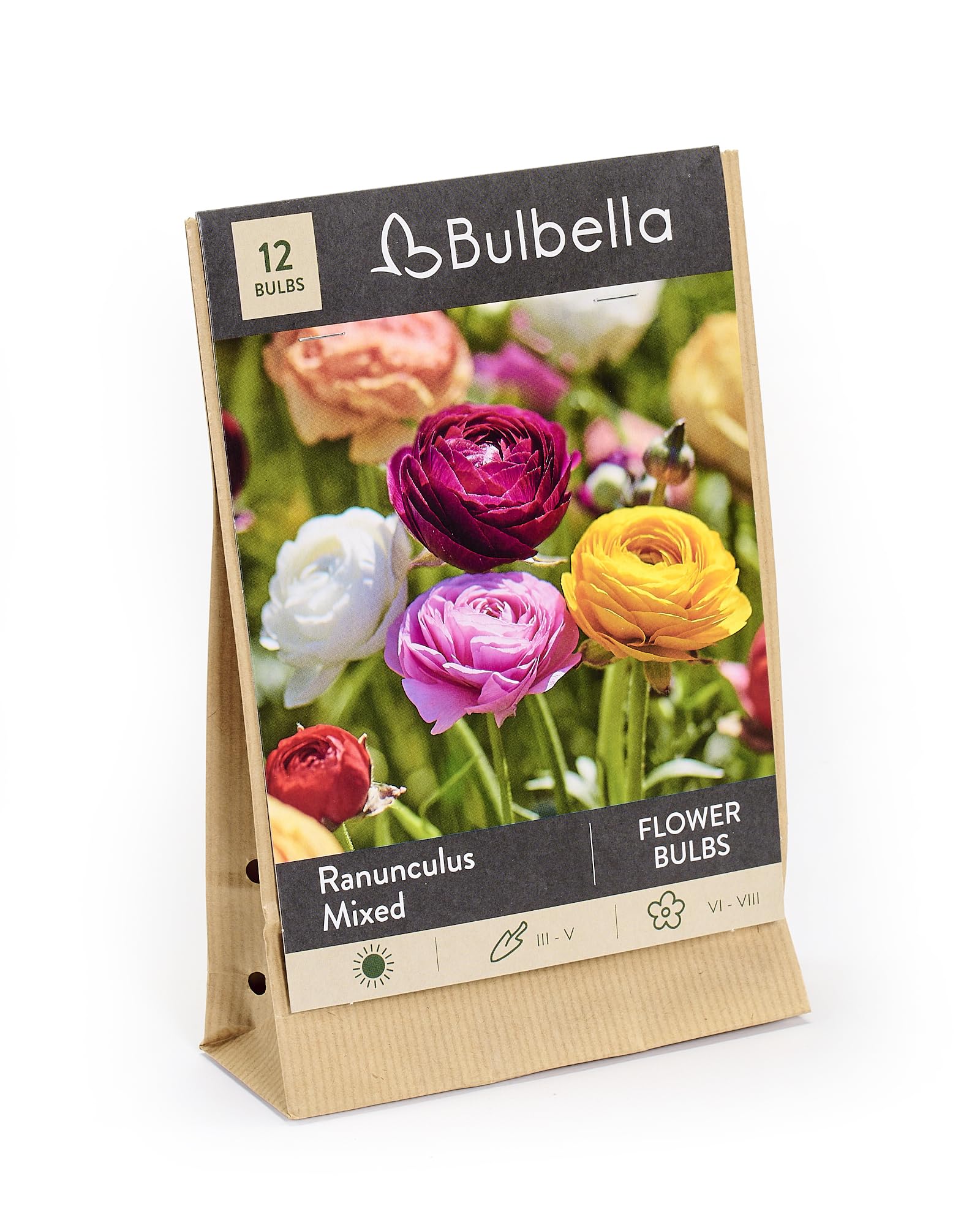 Bulbella Ranunculus Mixed Flower Bulbs – 12 Pack Colorful Persian Buttercup Bulbs for Planting – Spring Blooming Garden Flowers – Ideal for Beds, Borders & Containers