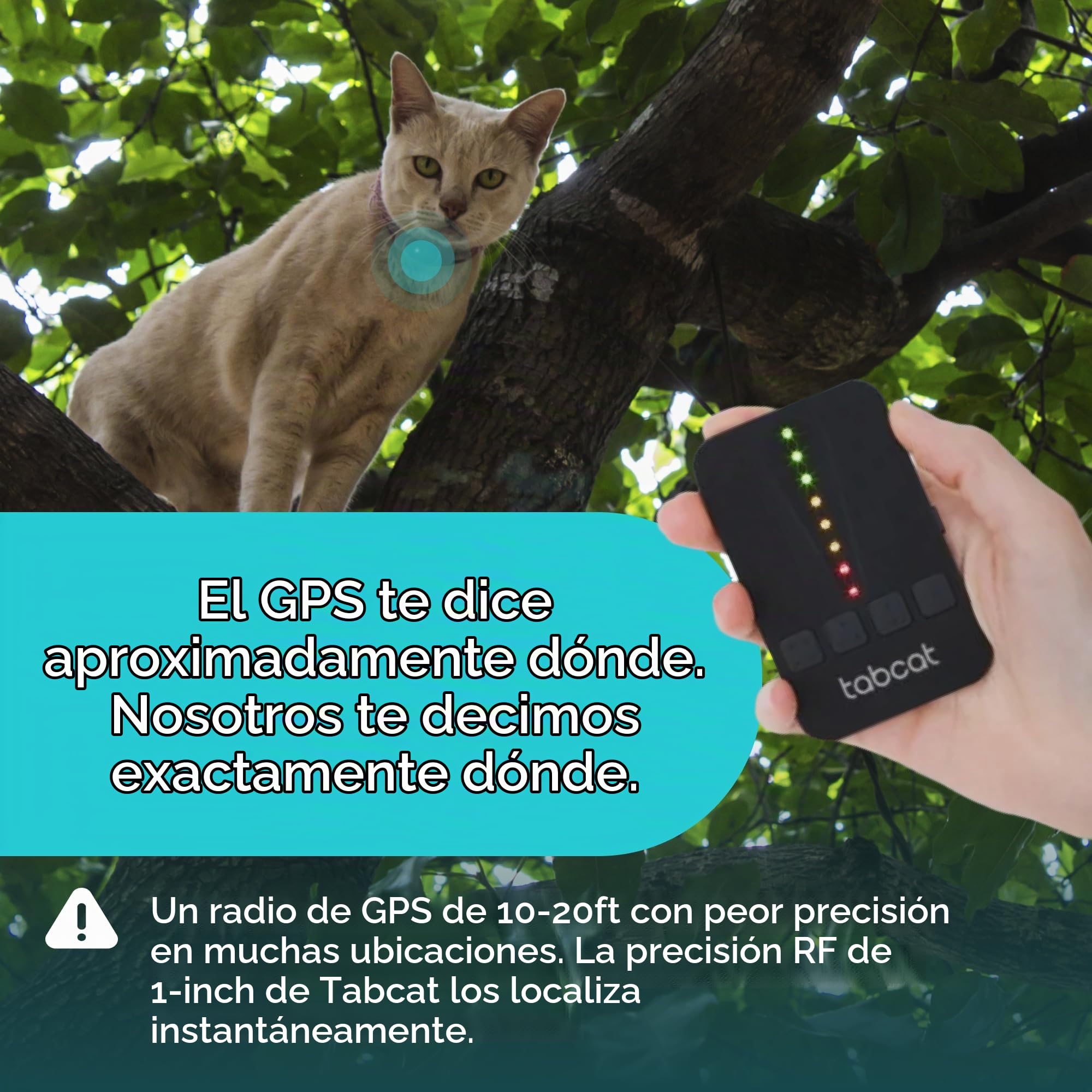 Amazon.com: Tabcat V2 - Rastreador de gatos y gatitos - Más