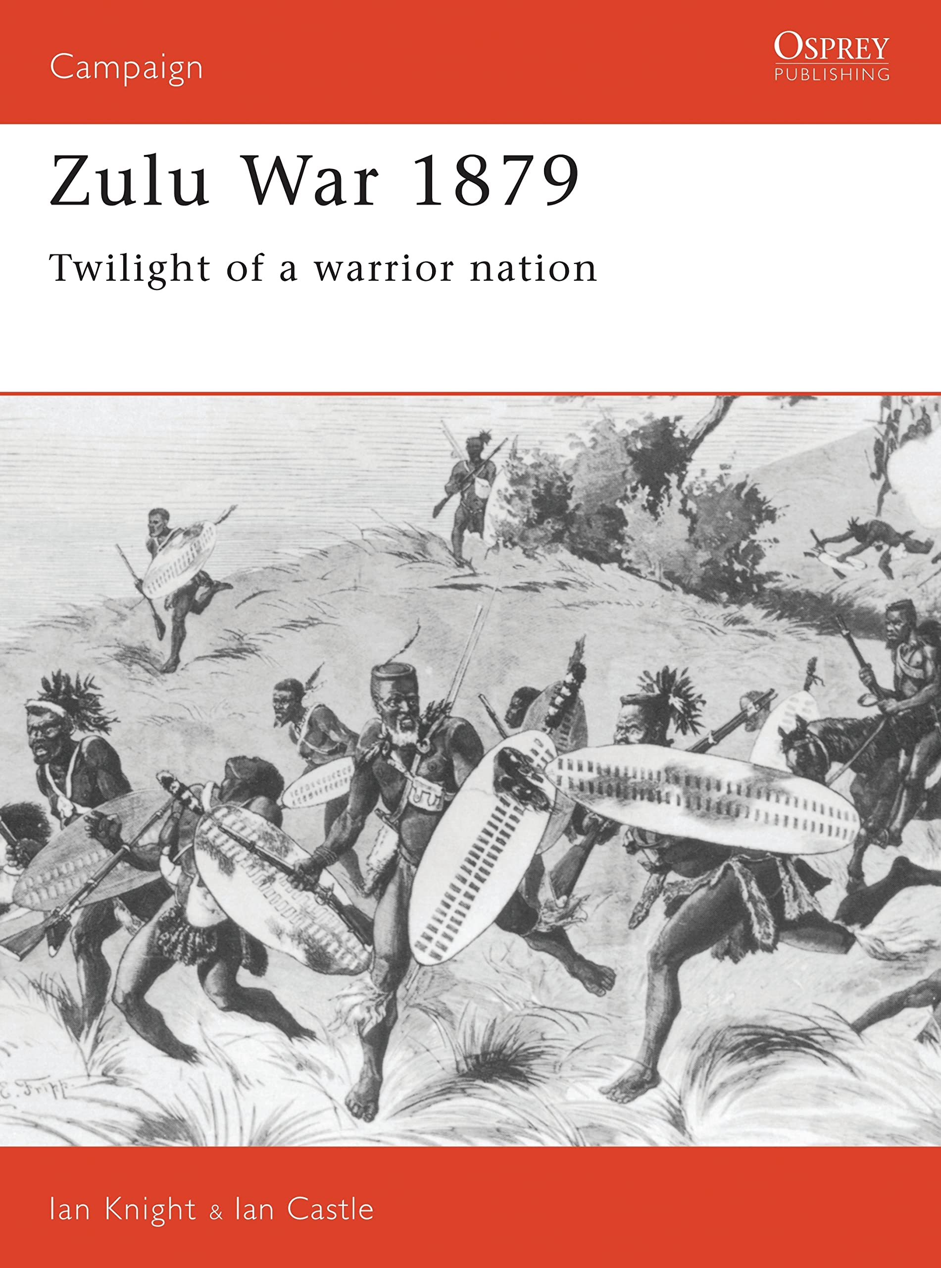 Zulu War 1879: Twilight of a warrior nation: No. 14 (Campaign)