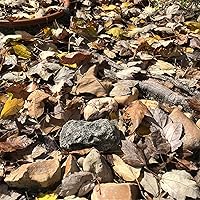 Vista 3 de (Tipo-A (Negro), 1 Paquete) Roca Falsa - Parece Piedra - Segura para Exteriores - Caja Fuerte Secreta para Exteriores para Llaves, Roca de Piedra
