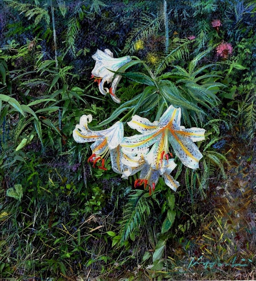 Amazon | 石井清 「路傍の山百合・B」 花 絵画 百合 アザミ 風景