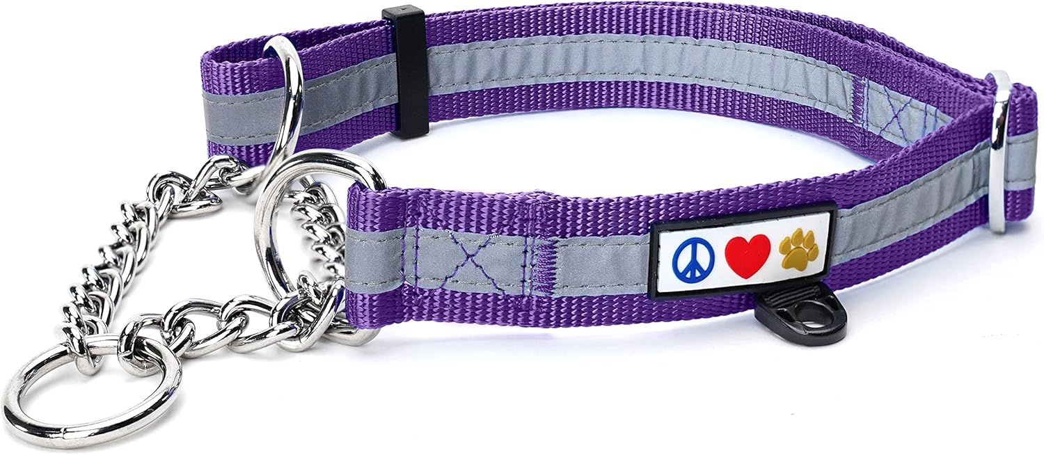 Pawtitas Chain Martingale Dog Collar Puppy Collar Reflective Dog Collar Training Dog Collar
