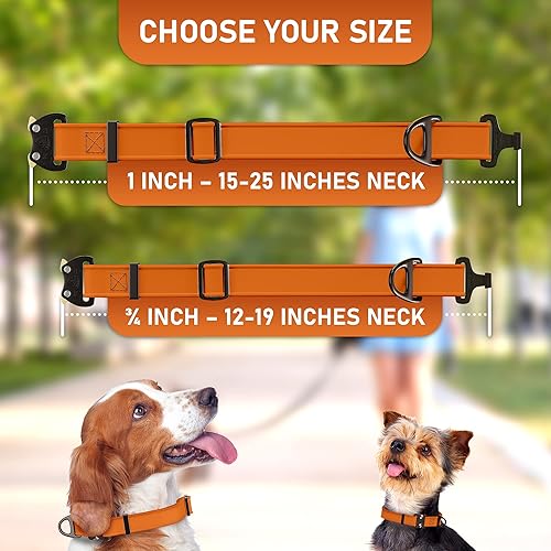 Miniatura 6 de Biothane - Collar de perro con hebilla de cobra, fabricado en Estados Unidos, etiqueta de identificación con código QR, collares de perro ajustables