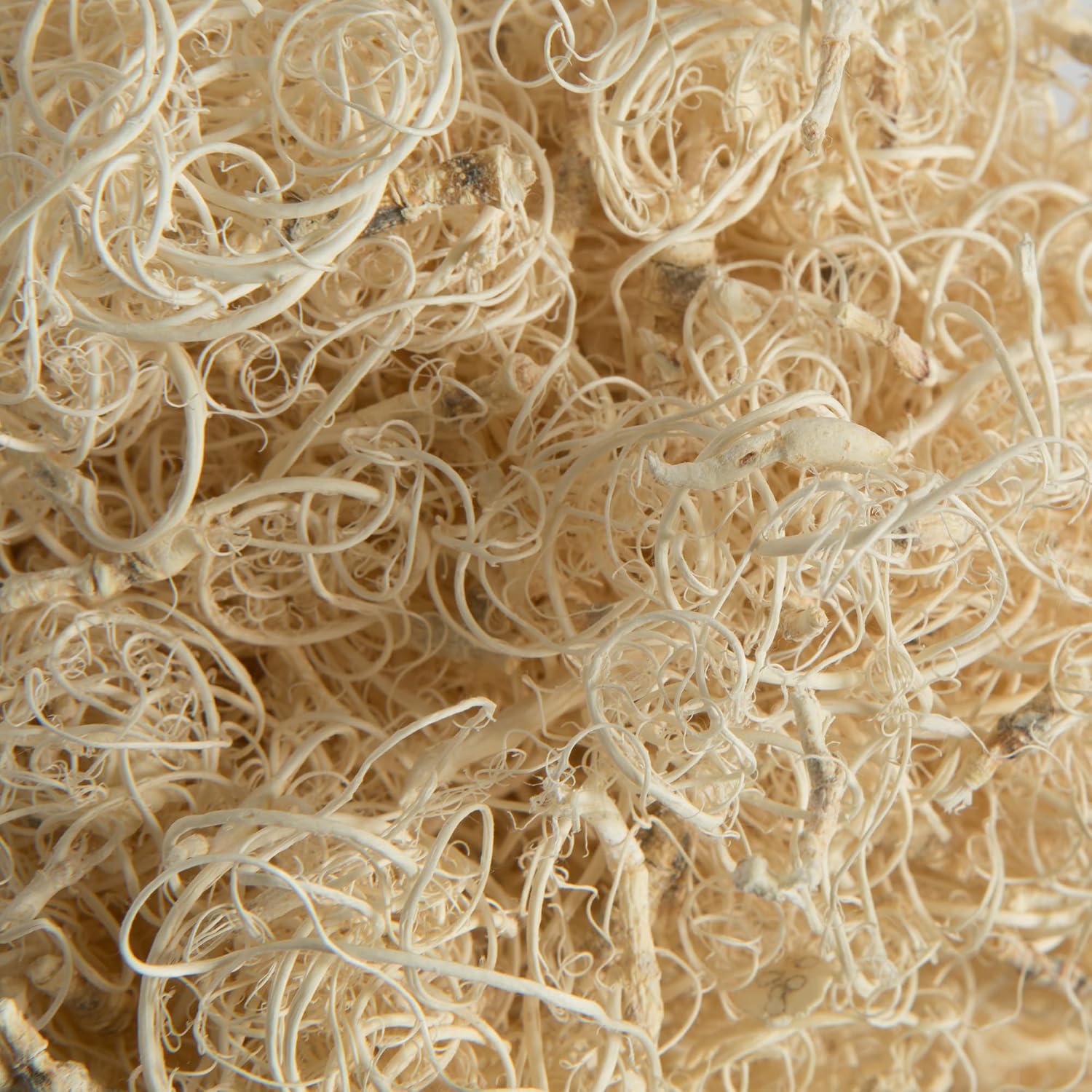 Vickerman Natural Botanicals Curly Moss, Bleached. Includes 2.2 Lbs per Pack