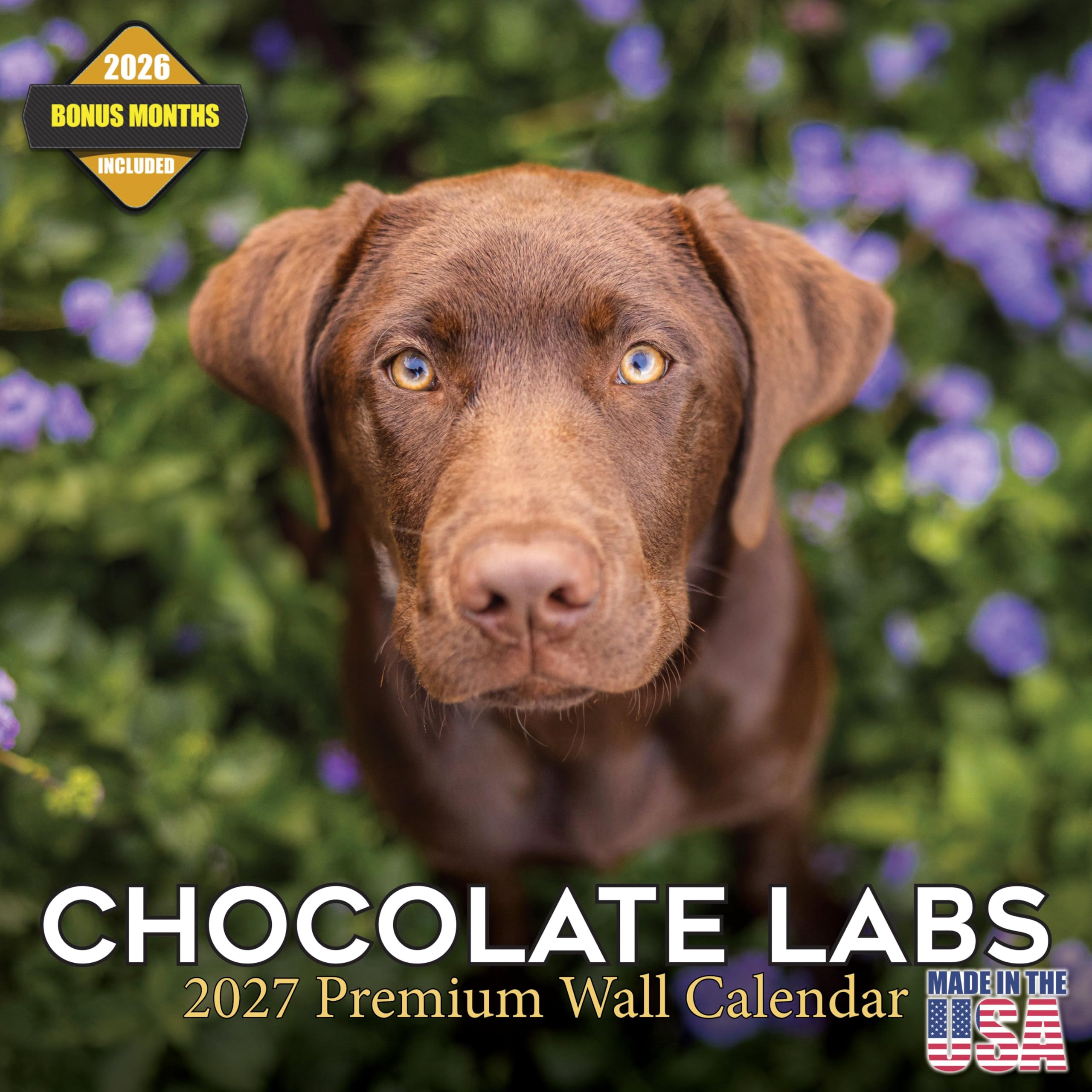 2022 2023 Chocolate Labrador Retriever Calendar,Dog Breed Monthly Wall Calendar,12x24 Open,Thick No-Bleed Paper,Giftable,Academic Teacher's Planner Calendar Organizing & Planning,Made in USA โ image 1
