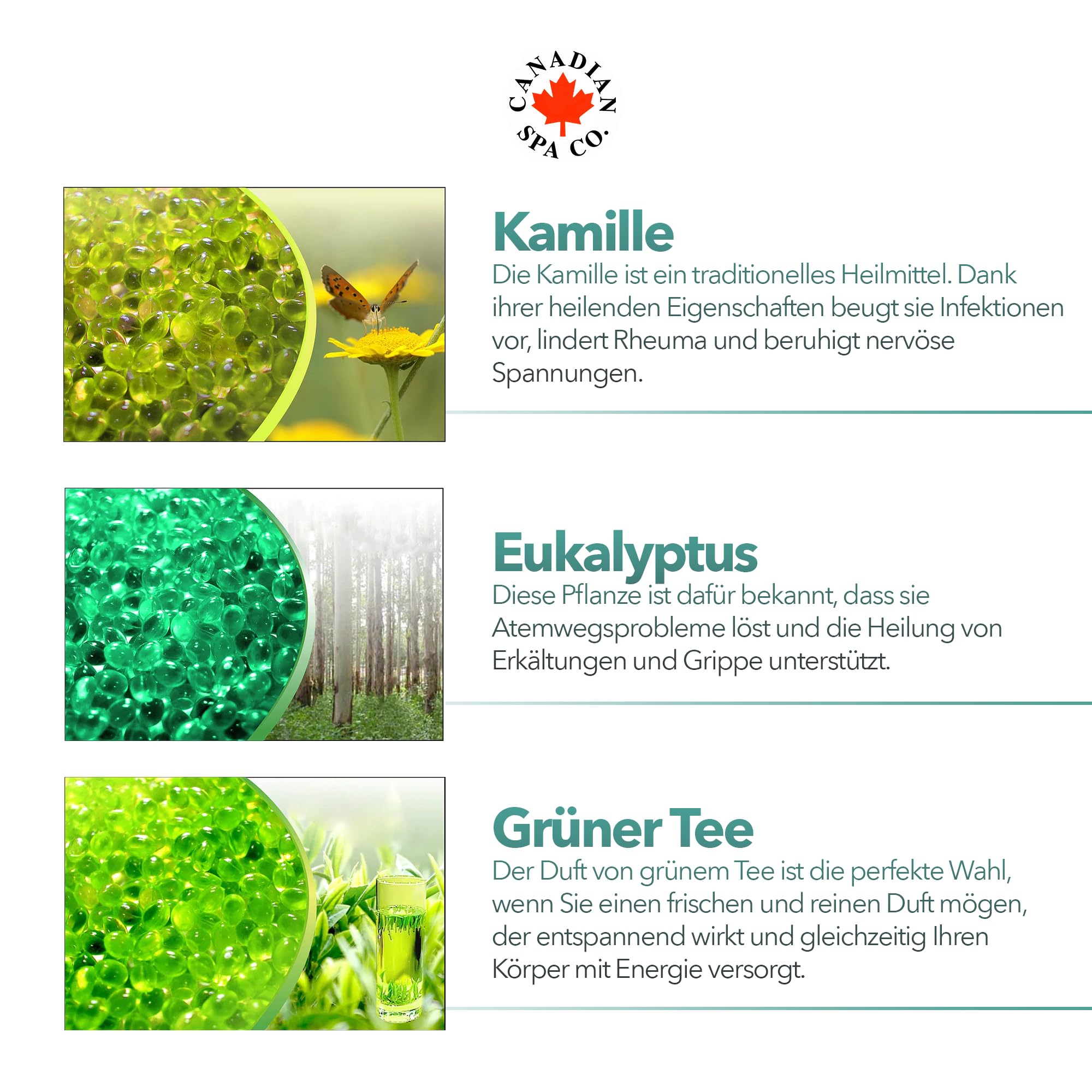 CANADIAN SPA CO. Aromatherapie Pool Duft, 6er-Set mit Eukalyptus, Rose, Grüner Tee, Lavendel, Kamille, Erdbeere-Champagner Düfte für Pools mit Aromatherapiefunktion