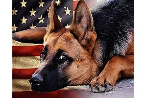 DIY German Shepherd Diamond Painting Kit