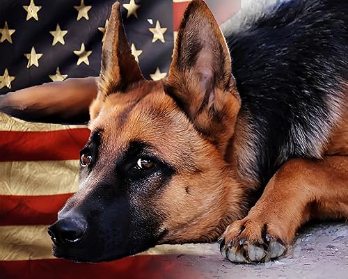 PAMMUQ Kit de pintura de diamante de amor 5D para adultos, bandera marrón, perro, pastor alemán, redondo, taladro completo, manualidades, pintura de