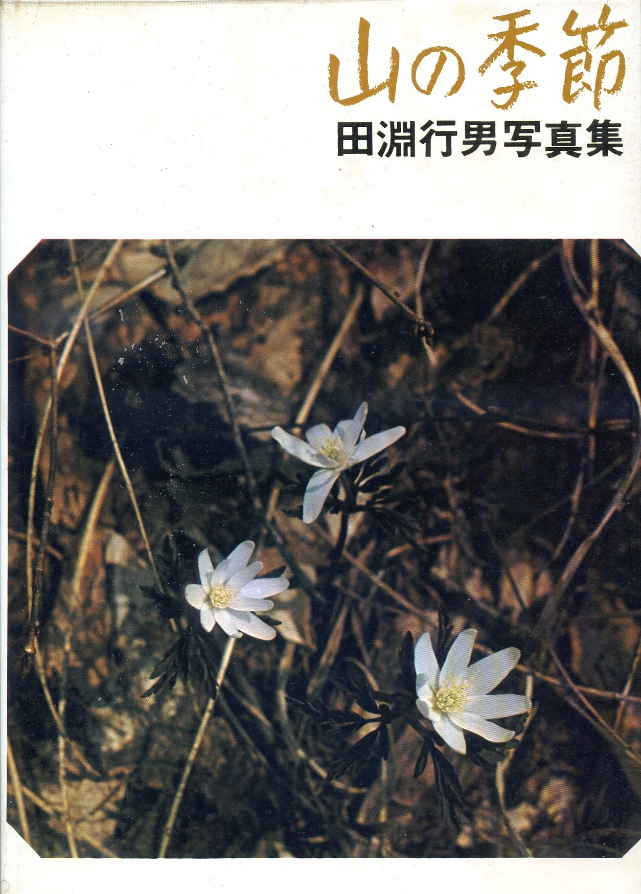 山の季節　田淵行男写真集 山の季節―田淵行男写真集 (1969年) |本 | 通販 | Amazon