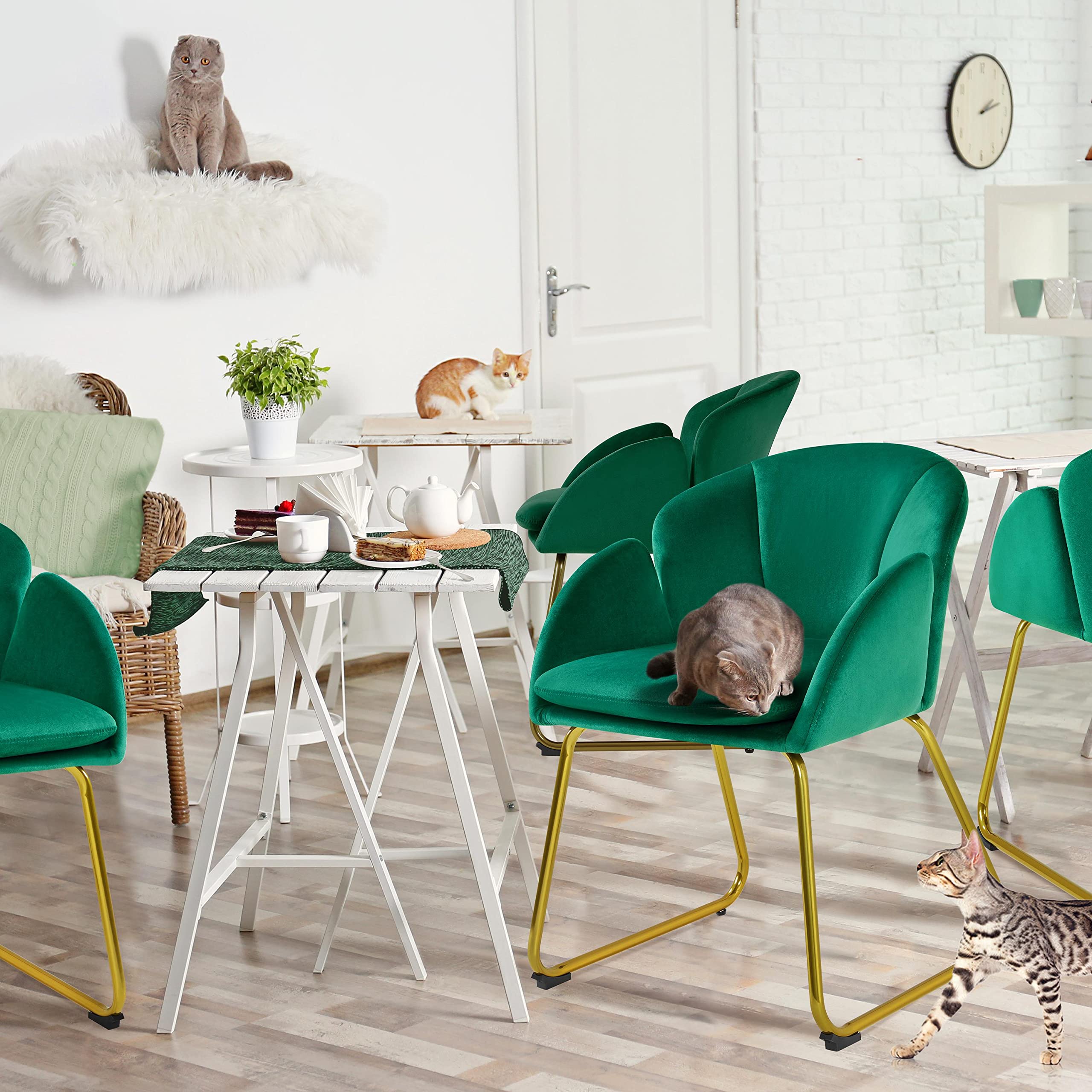 Amazon.com: Yaheetech Velvet Living Room Chair, Flower Shaped