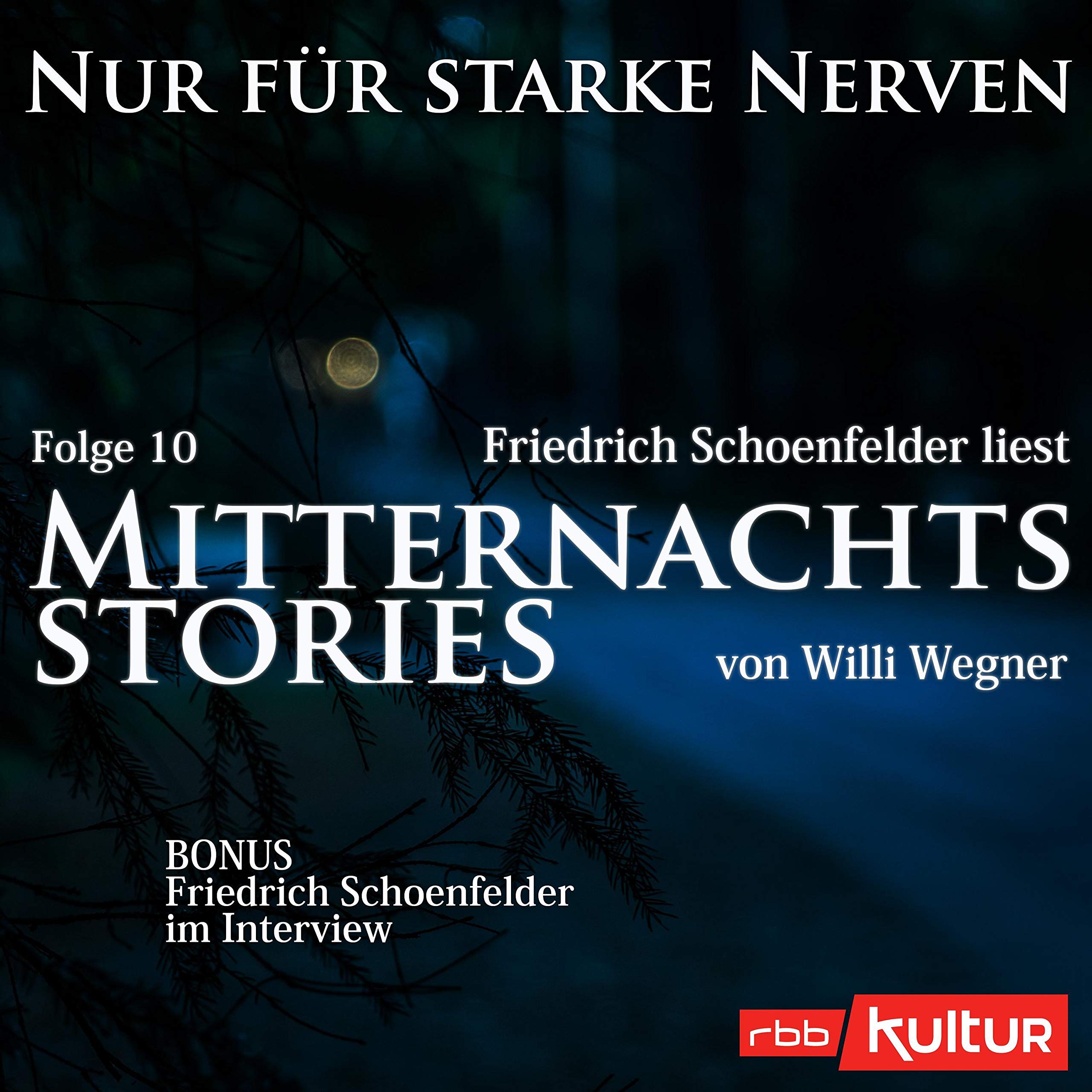 Cover art for Mitternachtsstories von Willi Wegner